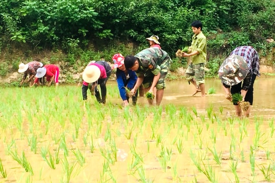 Nỗ lực tạo nguồn cho chi bộ vùng đặc thù