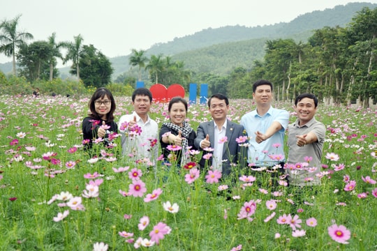 Quy hoạch bài bản, đảm bảo phát triển bền vững cho du lịch canh nông ở Nghệ An