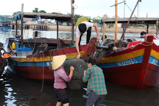 Ngư dân Nghệ An trúng đậm ‘lộc biển’ sau mưa bão