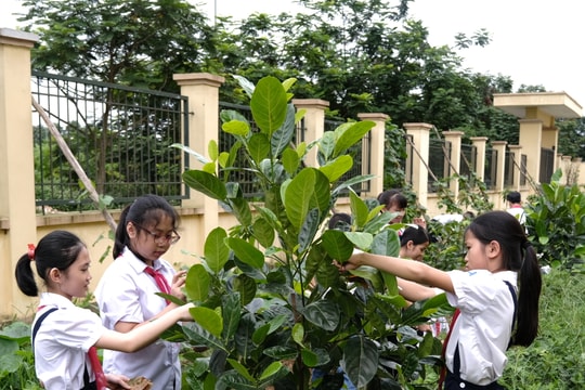 'Chiến dịch trồng cây xanh' cùng Vinamilk lan tỏa trên mạng xã hội