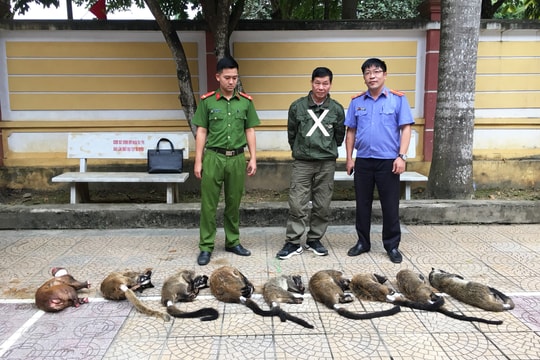 Mua động vật quý hiếm về làm tiệc cưới thì bị bắt