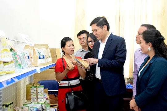 Nghệ An chuẩn bị công bố sản phẩm đạt sao OCOP năm 2020 