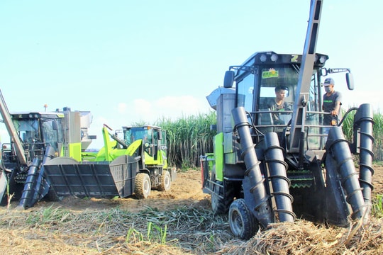 Công ty CP Mía đường Sông Lam trình diễn 'máy khủng' trồng và thu hoạch mía