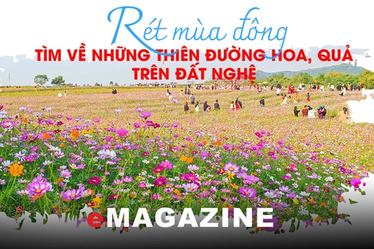Rét mùa Đông, tìm về những thiên đường hoa, quả trên đất Nghệ