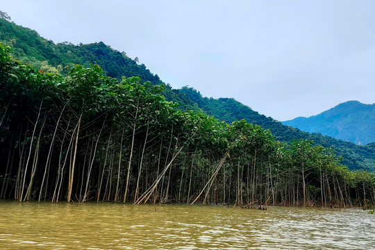Dấu hỏi lớn về thủy điện nhỏ trong khu sinh quyển...