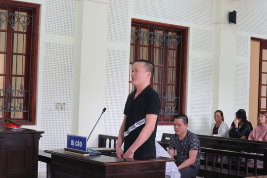 Ông chủ và kẻ giúp việc rủ nhau vào tù vì cùng đi giao ma túy