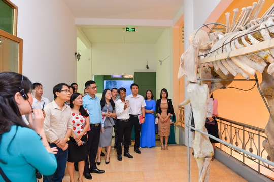 Xây dựng Bảo tàng trở thành điểm đến văn hóa hấp dẫn