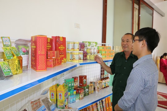 Thành phố Vinh cần ưu tiên phát triển các sản phẩm OCOP