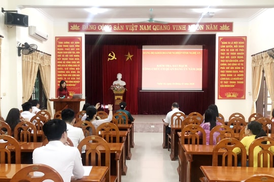 Đảng ủy Khối Doanh nghiệp Nghệ An kiểm tra, sát hạch công chức
