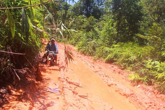 Tìm thấy thi thể phu vàng người Nghệ An bị lũ cuốn 