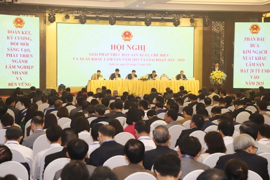 Tìm giải pháp thúc đẩy sản xuất, chế biến và xuất khẩu lâm sản giai đoạn 2021 -2025