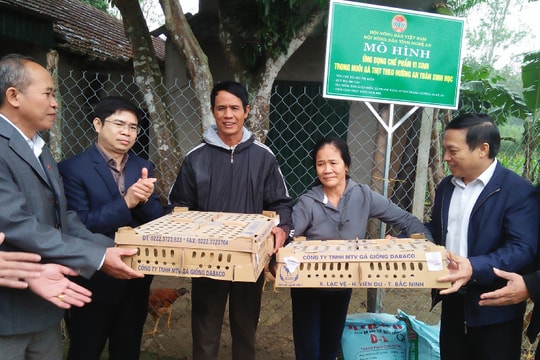 Hội Nông dân trao hơn 4.000 con gà giống cho Thanh Chương 