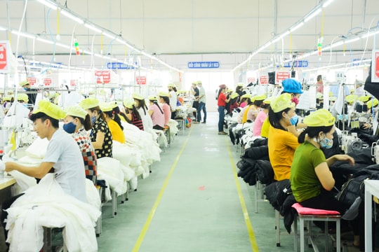 Nghệ An dự kiến thu ngân sách năm 2020 đạt khoảng 15.991 tỷ đồng