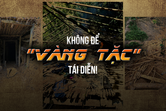 Không để 'vàng tặc' tái diễn!