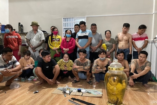 Bắt quả tang 21 con bạc đang sát phạt cùng bình rượu hổ nguyên con