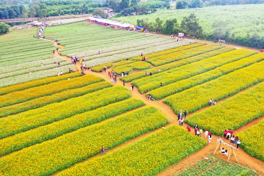 Những điểm đến hấp dẫn ở Nghệ An dịp Tết Dương lịch