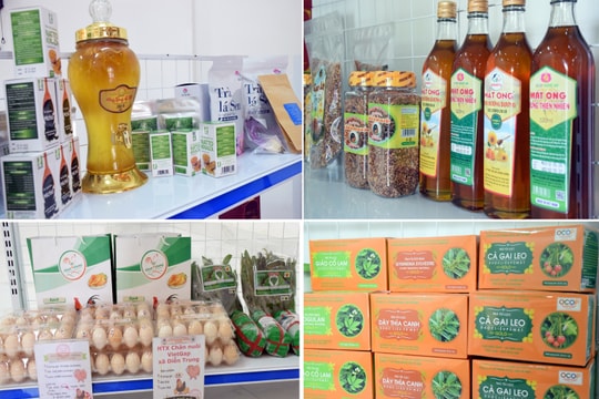 Nghệ An: Chính sách thiết thực tạo “cú hích” cho sản phẩm OCOP 