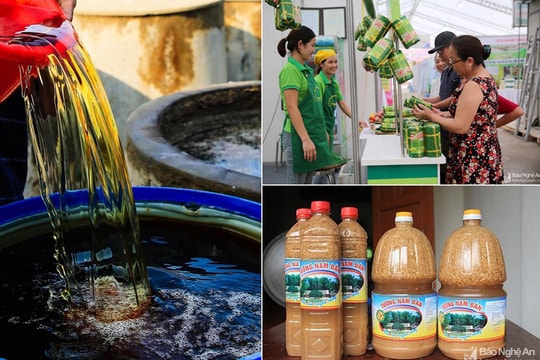 Nghệ An hỗ trợ đến 500 triệu đồng/cơ sở sản xuất hàng OCOP