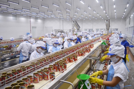 Nâng cao hiệu quả đầu tư FDI  vào Khu kinh tế Đông Nam