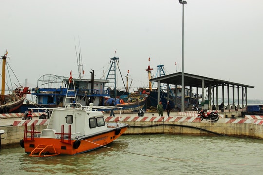 Nghệ An: Hơn 8.500 lượt tàu của ngư dân cập cảng cá