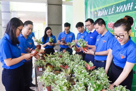 Đoàn viên, thanh niên Đoàn Khối Doanh nghiệp tỉnh Nghệ An thực hiện gần 400 ý tưởng sáng tạo