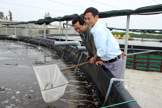 Giúp nông dân vượt qua khó khăn do dịch Covid-19