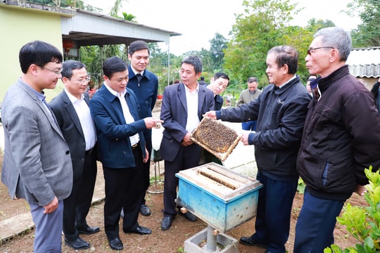 Bí thư Tỉnh ủy Thái Thanh Quý thăm, làm việc tại thị xã Thái Hòa 