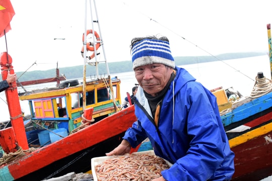 Ngư dân Nghệ An mưu sinh trong giá rét 