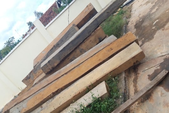 Khởi tố, bắt tạm giam chủ tịch xã tẩu tán gỗ lậu