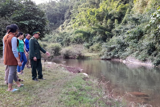 Bảo vệ giống cá đặc sản nức tiếng của vùng cao Nghệ An