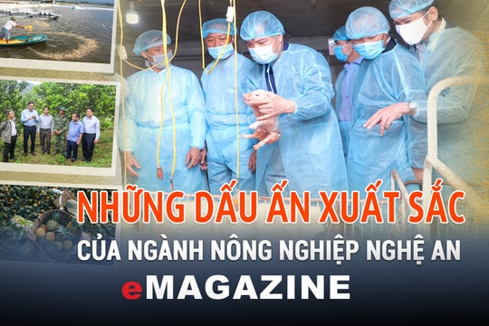 Những dấu ấn xuất sắc của ngành nông nghiệp Nghệ An