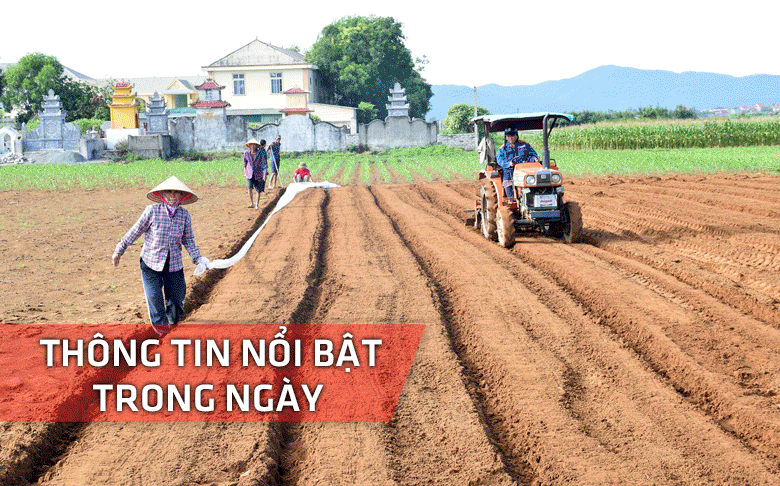 Nghệ An: Thông tin nổi bật ngày 2/1