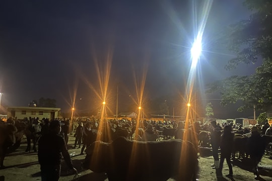 Tết sớm ở chợ trâu lớn nhất nước