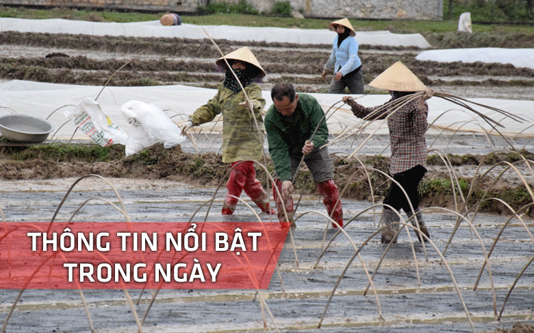 Nghệ An: Thông tin nổi bật ngày 10/1
