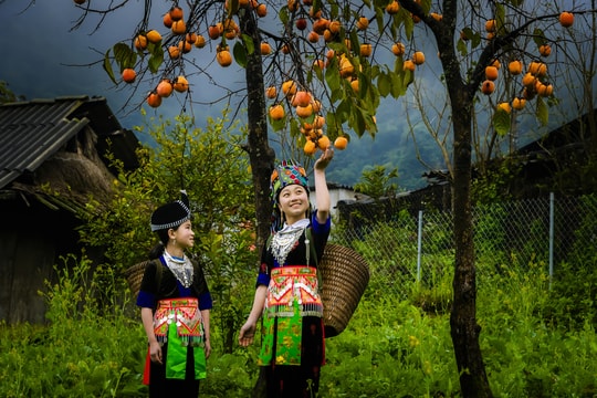 Du khách đổ về Mường Lống trải nghiệm cảnh sắc mùa đông rét buốt