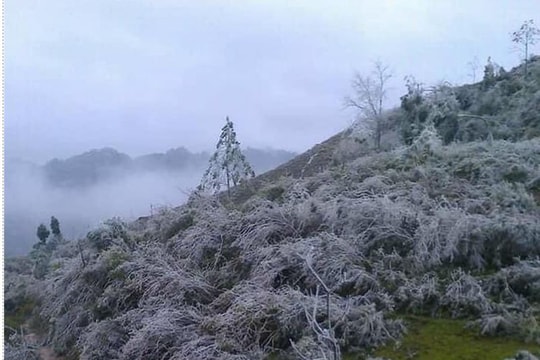 Băng giá phủ trắng miền biên viễn Nghệ An