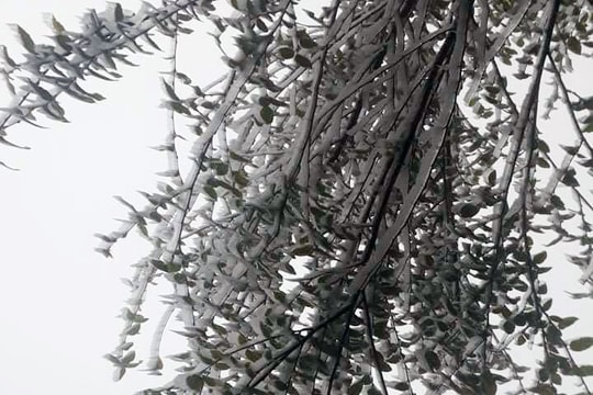 Nước đóng băng, cuộc sống người dân bị đảo lộn vì giá rét ở Kỳ Sơn