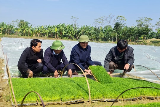 Lãnh đạo tỉnh kiểm tra sản xuất nông nghiệp tại các địa phương