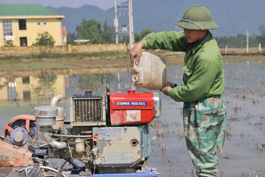 Nông dân Nghệ An tranh thủ xuống đồng khi nắng ấm