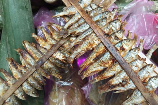 Đến vùng 'rốn vàng' ở Nghệ An mua chuột rừng khô, cá mát nướng...về ăn Tết