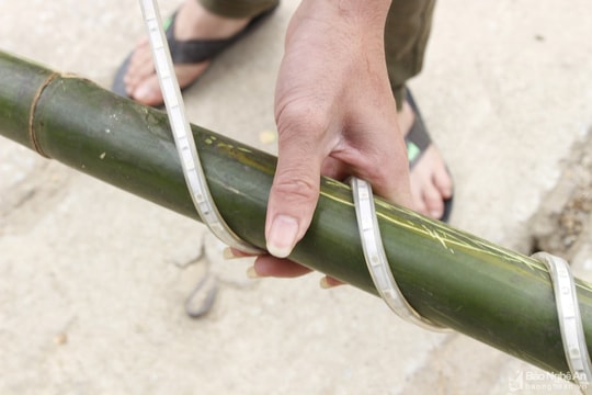 3 người thương vong khi dựng cây nêu chuẩn bị đón Tết