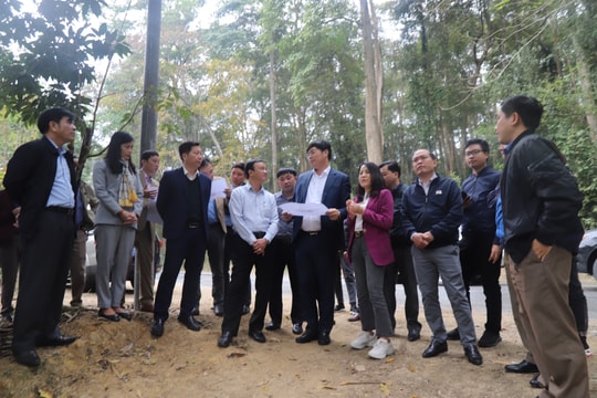 Tương Dương kêu gọi, thu hút đầu tư, thương mại và du lịch