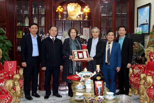 Lãnh đạo tỉnh chúc Tết Tập đoàn Thiên Minh Đức