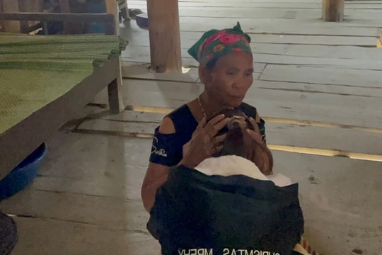 Nghệ An đặt ra hàng loạt chỉ tiêu để phấn đấu hạn chế vấn nạn mua bán người