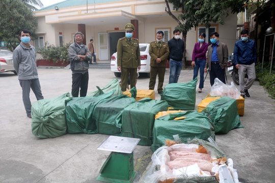 Tiêu hủy hơn 14 tấn thịt lợn và sản phẩm động vật bốc mùi, không rõ nguồn gốc