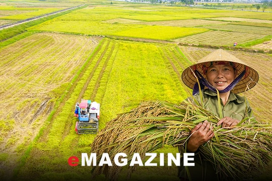 Nông thôn và niềm vui Xuân mới