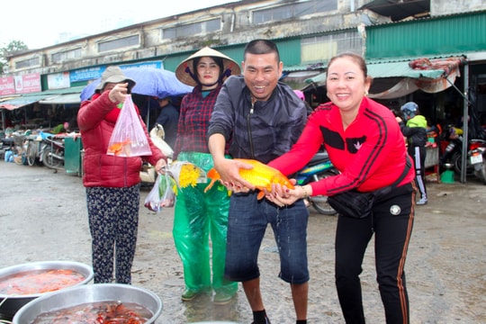 Cá chép đỏ cúng ông Táo giá bán tăng vọt