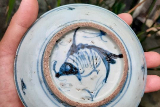 Chiếc đĩa cổ đời Thanh trên 200 năm tuổi với 'phút ngẫu hứng' của người thợ gốm?