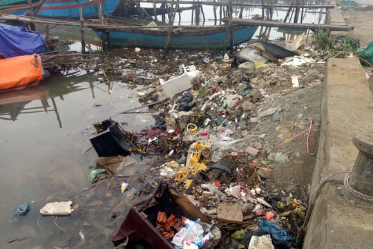 Báo động ô nhiễm ở cảng cá Lạch Vạn