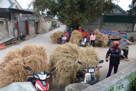 Độc đáo chợ rơm ngày Tết ở Nghệ An  